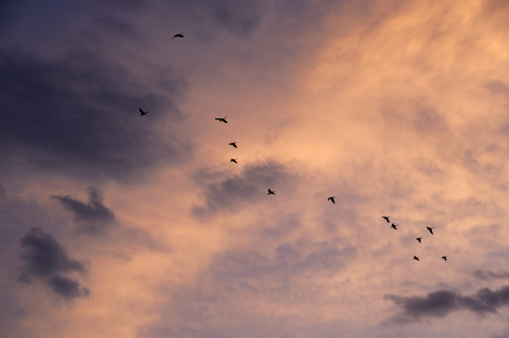 Dramatic sunset sky with clouds, Abstract sunset and sunrise background